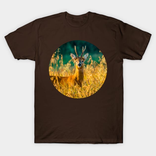 Alert Roebuck T-Shirt by dalyndigaital2@gmail.com